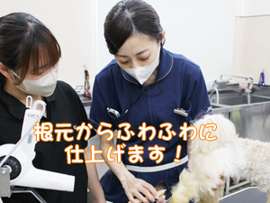 １年生、カットもがんばっています！
